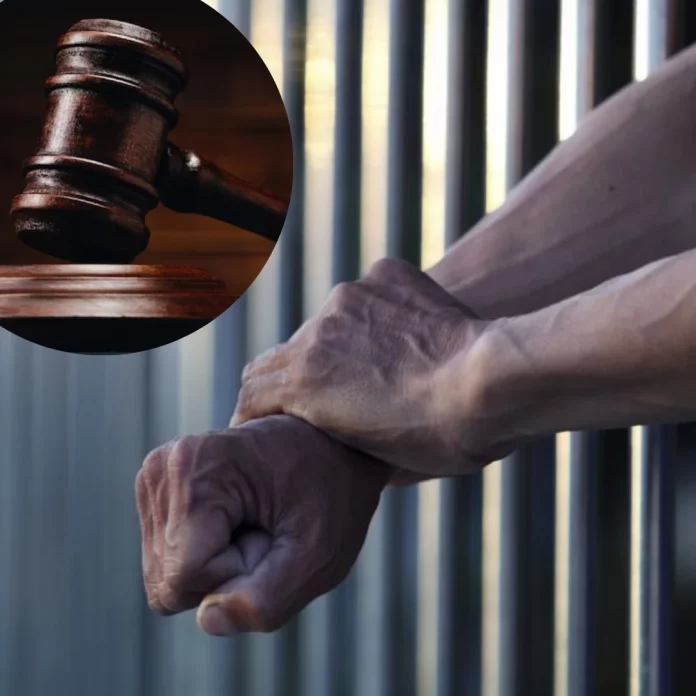 tribunal