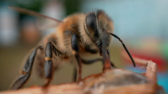 descarga - 2025-08-22T125301.959