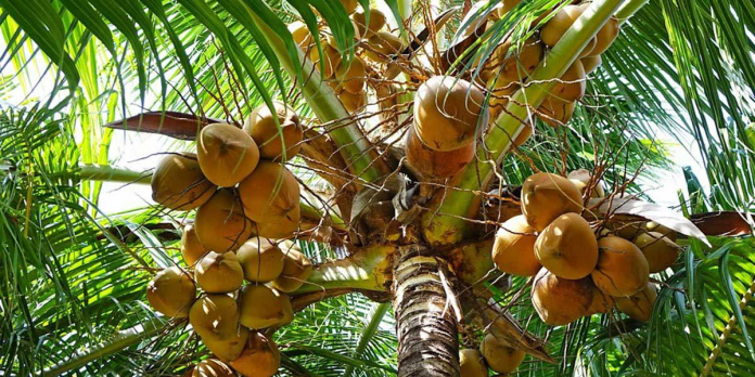 descarga - 2025-09-02T110447.478