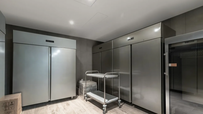 descarga - 2025-09-11T062807.190