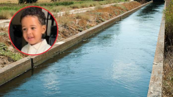 descarga - 2025-09-17T124933.367