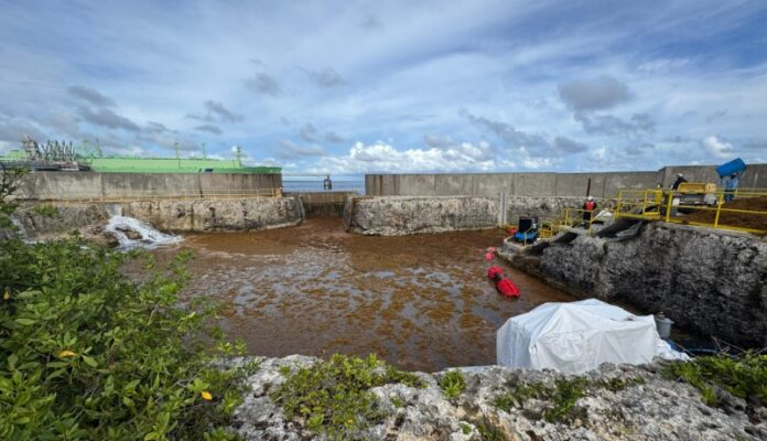 descarga - 2025-09-20T192601.576