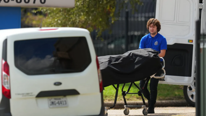 descarga - 2025-09-24T163540.182