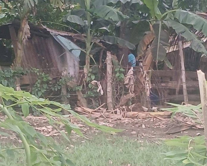 WhatsApp Image 2025-10-31 at 07.19.35 (1)