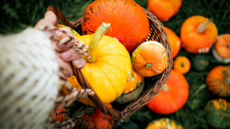 5 recetas para el National Pumpkin Day donde la calabaza es la protagonista 