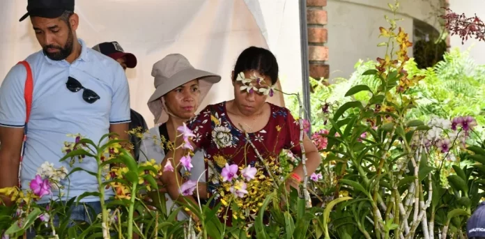 flores