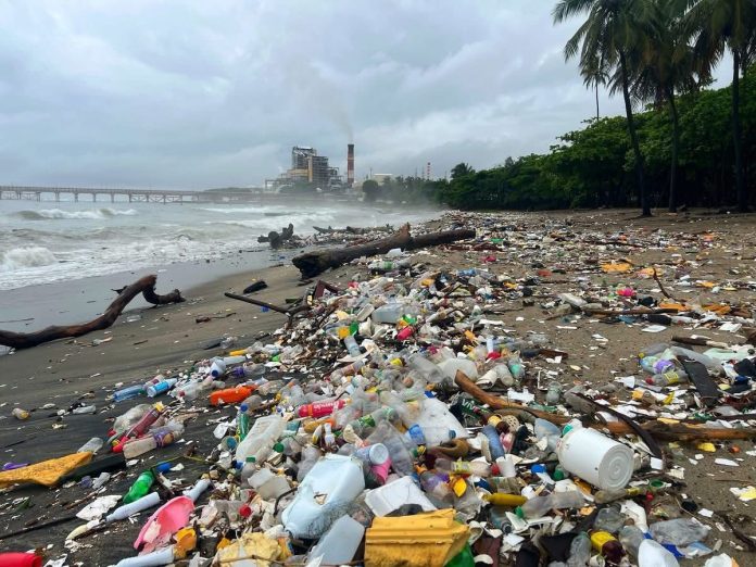 WhatsApp Image 2025-11-06 at 06.20.31