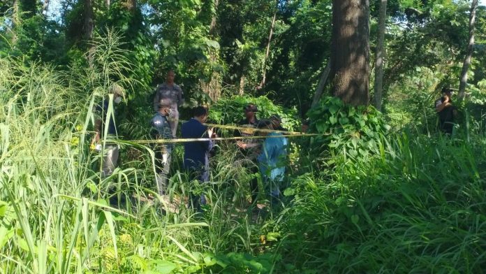 WhatsApp Image 2025-11-13 at 15.29.07