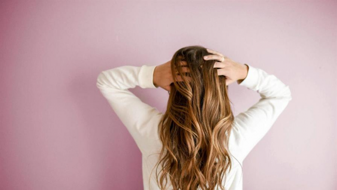 descarga - 2025-11-02T121410.540