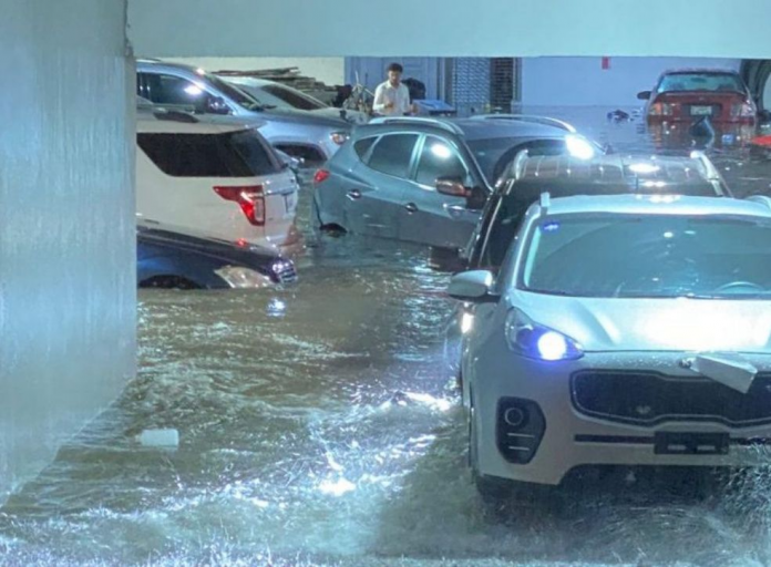 descarga - 2025-11-04T141143.837