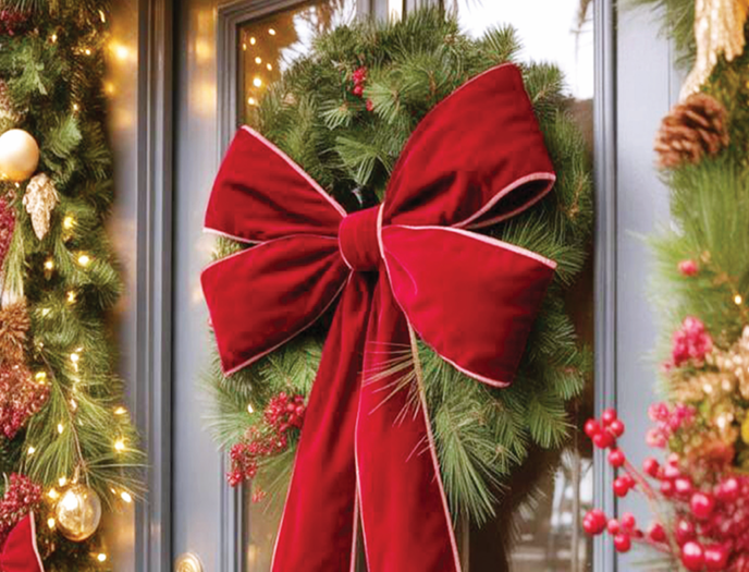 descarga - 2025-11-05T110153.742