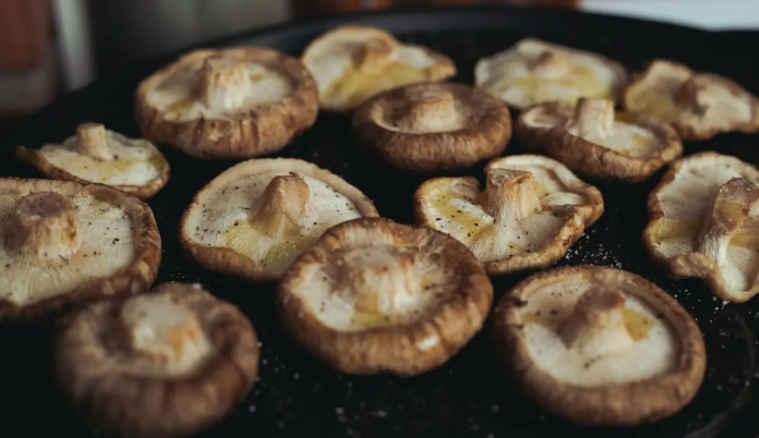 descarga - 2025-11-05T174555.835