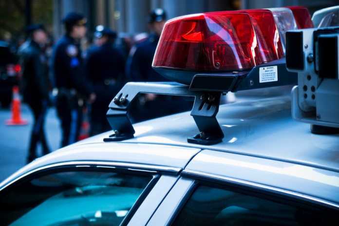 descarga - 2025-11-06T192544.430