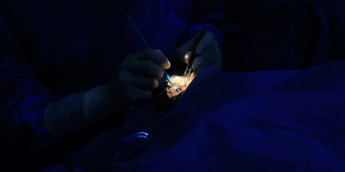 descarga - 2025-11-07T131542.463