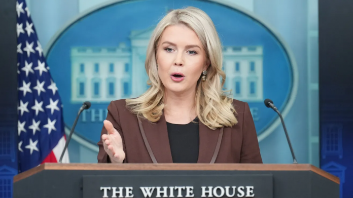 descarga - 2025-11-12T192755.235