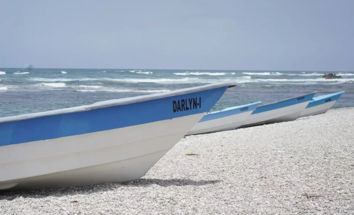 descarga - 2025-11-18T113246.944