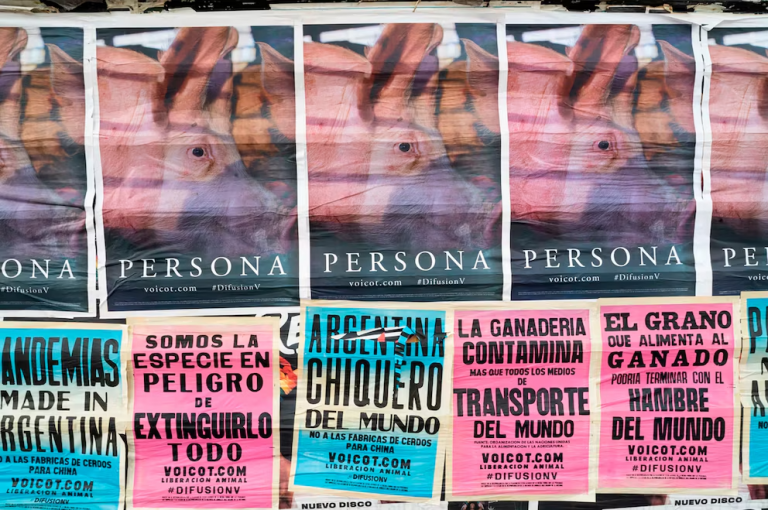 Voicot: la sensibilidad individual y artística que convirtió al grupo en referente del movimiento animalista latinoamericano