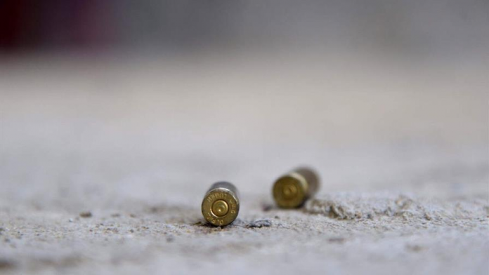 descarga - 2025-11-24T151312.933