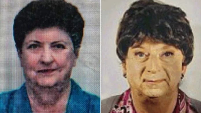 descarga - 2025-11-24T164131.855