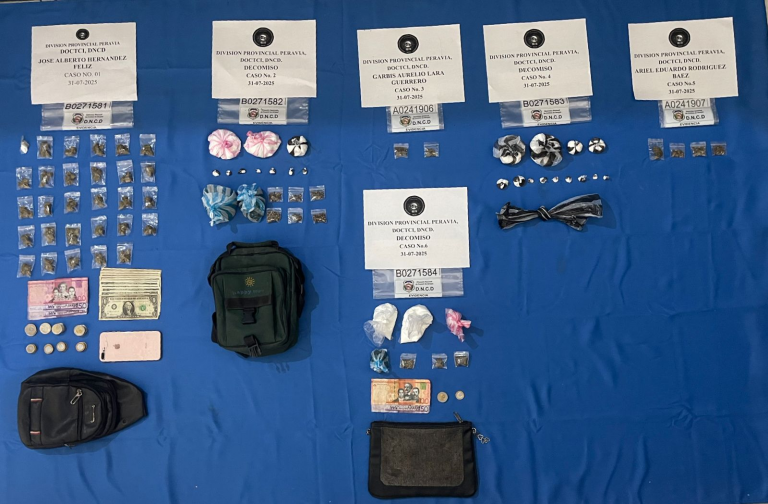 DNCD incauta medio millón de distintos tipos de drogas en noviembre