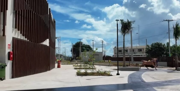 Ministro David Collado supervisa avance en Plaza de Toros de El Seibo