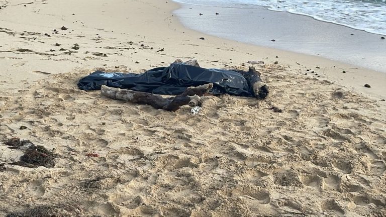 Autoridades investigan muerte de mujer en playa Camacho de Puerto Plata