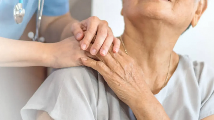 descarga - 2025-12-02T213216.108