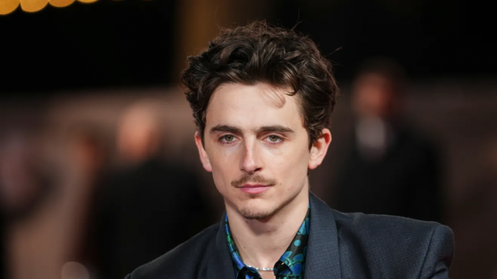 descarga - 2025-12-04T182743.683