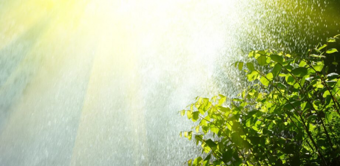 descarga - 2025-12-07T080535.067