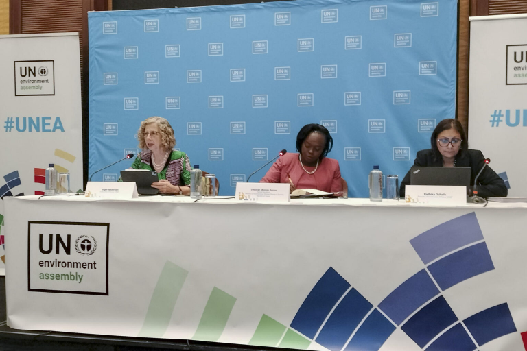 ONU: Invertir en medioambiente puede aumentar el PIB mundial y evitar millones de muertes