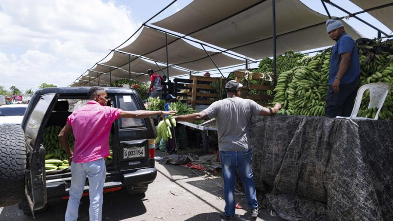 Aumento en el precio de los plátanos y otros bienes agrícolas impulsa la inflación en noviembre