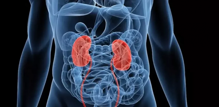 descarga - 2025-12-10T170028.009