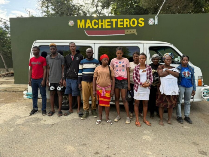 descarga - 2025-12-11T170708.797