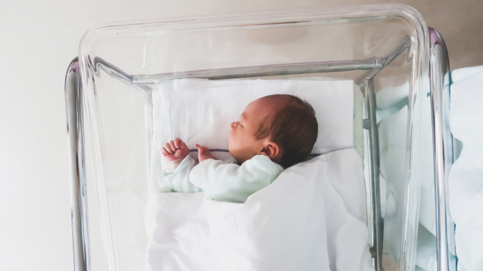 descarga - 2025-12-11T200903.595