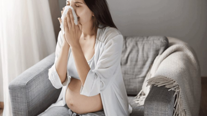 descarga - 2025-12-14T044624.167