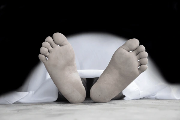 descarga - 2025-12-14T135038.929