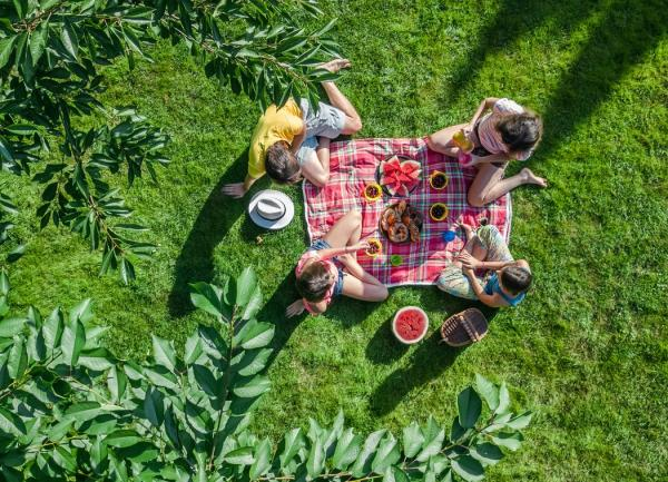 descarga - 2025-12-16T092041.682