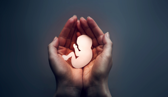 descarga - 2025-12-17T163840.000