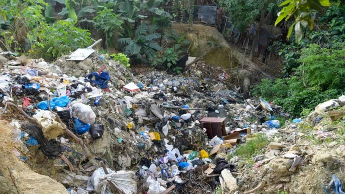 descarga - 2025-12-17T172834.546