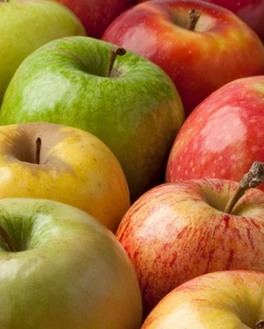 descarga - 2025-12-24T082907.433