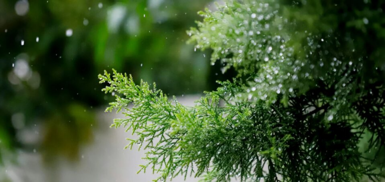 Indomet pronostica lluvias en varias provincias durante la víspera de Navidad
