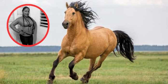 descarga - 2025-12-28T150542.418