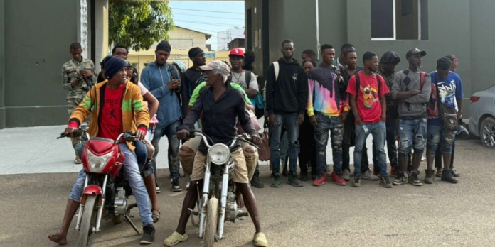 descarga - 2025-12-30T110702.707