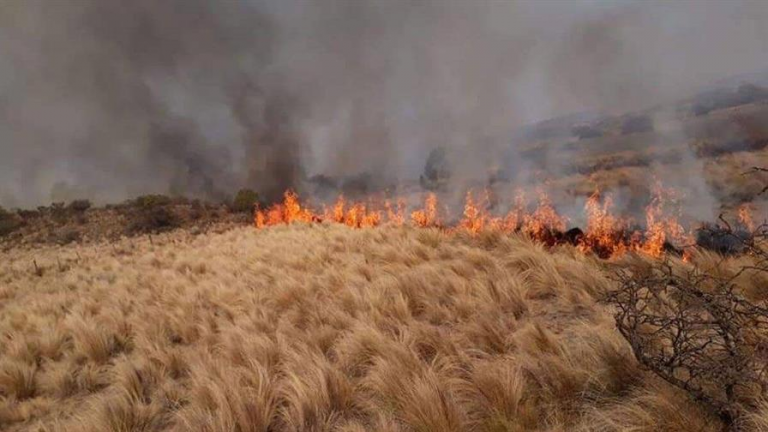 Siete provincias de Argentina en alerta por incendios, que ya arrasaron miles de hectáreas