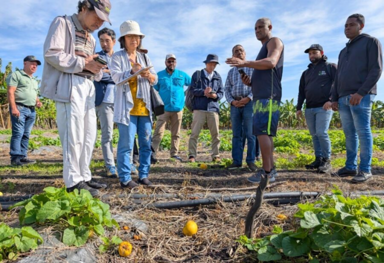 La cadena de valor agrícola y su impacto en sostenibilidad ambiental