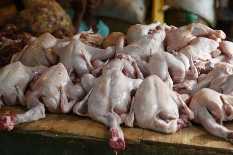 Precio del pollo sigue entre RD$90 y RD$100 en Moca; alertan posible escasez en diciembre