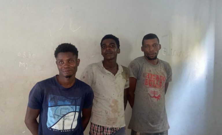 Cuatro hombres fueron “atrapados con los guineos en las manos” en una finca