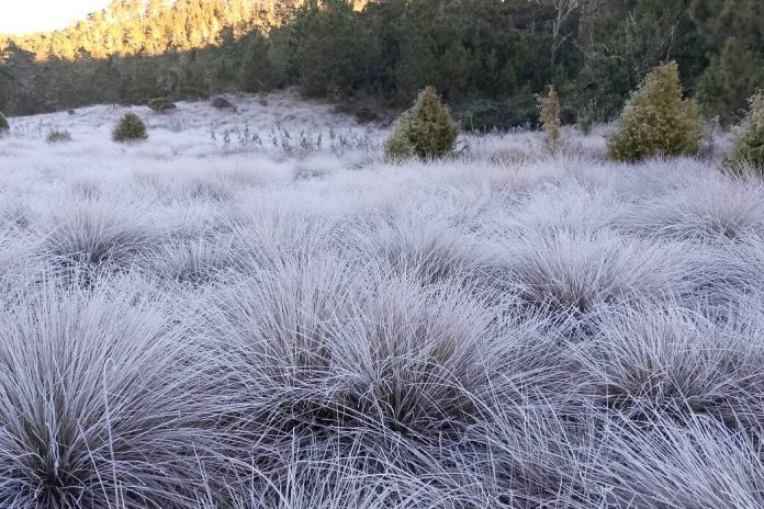 Frio-y-escarcha-1040x694-1