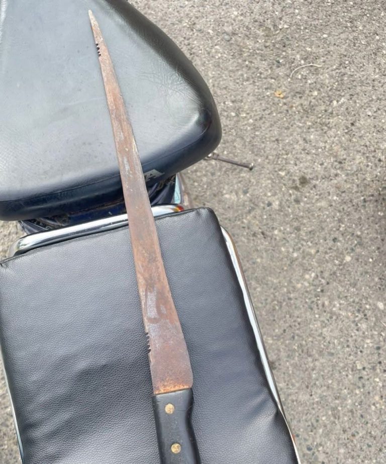 Riña entre estudiantes durante desfile por natalicio de Duarte genera alarma en Montellano