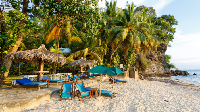 descarga - 2026-01-01T102116.352